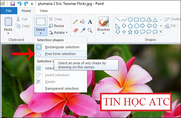 Học tin học văn phòng cấp tốc tại Thanh Hóa Cách cắt ảnh trên máy tính cực nhanh và đơn giản, ai chưa biết lưu ngay! Nếu bạn đang tìm kiếm chỉ dẫn về cách cắt ảnh trên máy tính thì đây đích thực là bài viết dành cho bạn. Đọc kỹ bài viết này của trung tâm tin học ATC để biết làm ngay nhé! Việc cắt hay chỉnh sửa ảnh vẫn luôn là một nhu cầu thường trực đối với những người yêu thích chụp ảnh, dù là ảnh chụp chuyên nghiệp hay chỉ đơn giản là để lưu giữ những khoảnh khắc đáng nhớ. Rất may mắn là việc cắt ảnh trên máy tính không hề khó khăn vì hiện nay có rất nhiều ứng dụng và phần mềm chỉnh sửa ảnh, từ những phần mềm mặc định luôn có sẵn trên máy hay những ứng dụng chuyên dụng. Dưới đây là 3 cách mà ATC muốn chia sẻ để bạn có thể dùng để cắt một bức ảnh như ý.