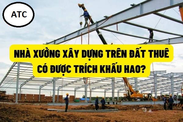 Học kế toán ở Thanh Hóa