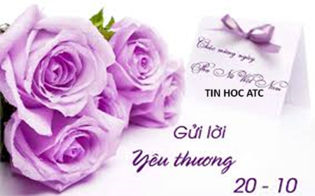 Hoc tin hoc tai thanh hoa Phụ nữ Việt Nam, biểu tượng của sự kiên cường, bất khuất, được ví như thân cây liễu, tuy mỏng mang nhưng dẻo dai.