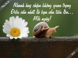 Học tin học tại thanh hóa "Không quan trọng là nhanh hay chậm, quan trọng là bạn vẫn tiến lên mỗi ngày"Câu nói này là lời nhắc nhở sâu sắc về