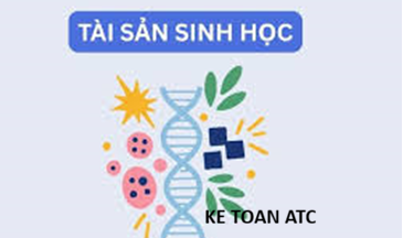 Học kế toán cấp tốc ở thanh hóa Từ ngày 01/01/2026, Thông tư 99/2025/TT-BTC chính thức có hiệu lực và thay thế Thông tư 200/2014/TT-