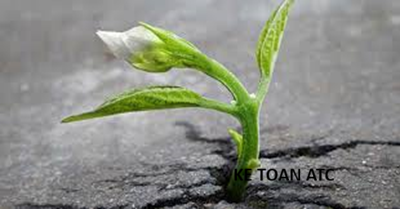 Học kế toán thực tế ở thanh hóa Cuộc sống không phải lúc nào cũng trải đầy hoa hồng. Có những ngày ta cảm thấy mệt mỏi, thất vọng